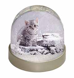 Silver Tabby Cat in Snow Snow Globe Photo Waterball