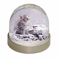 Silver Tabby Cat in Snow Snow Globe Photo Waterball
