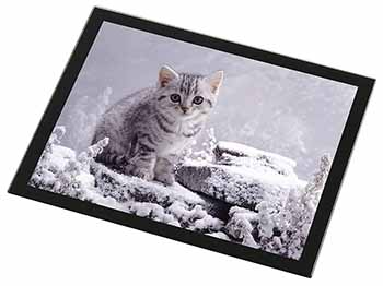 Silver Tabby Cat in Snow Black Rim High Quality Glass Placemat