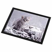 Silver Tabby Cat in Snow Black Rim High Quality Glass Placemat