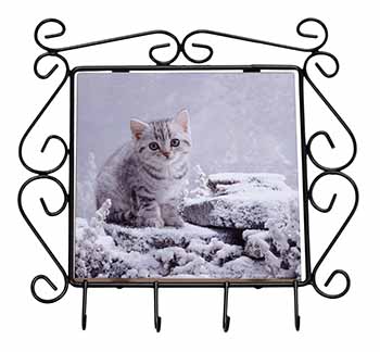 Silver Tabby Cat in Snow Wrought Iron Key Holder Hooks