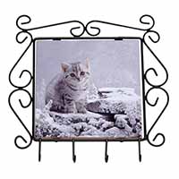 Silver Tabby Cat in Snow Wrought Iron Key Holder Hooks