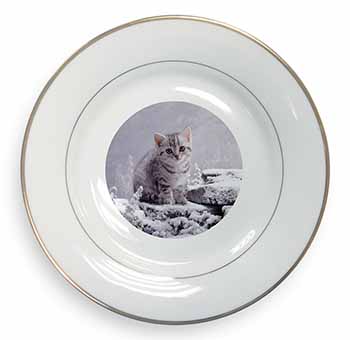 Silver Tabby Cat in Snow Gold Rim Plate Printed Full Colour in Gift Box