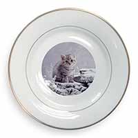 Silver Tabby Cat in Snow Gold Rim Plate Printed Full Colour in Gift Box