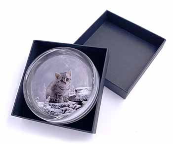 Silver Tabby Cat in Snow Glass Paperweight in Gift Box