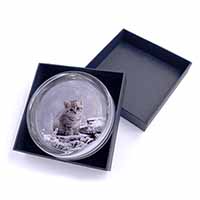 Silver Tabby Cat in Snow Glass Paperweight in Gift Box