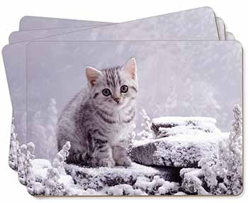 Silver Tabby Cat in Snow Picture Placemats in Gift Box