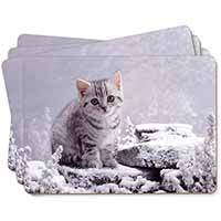 Silver Tabby Cat in Snow Picture Placemats in Gift Box