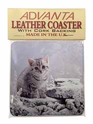 Silver Tabby Cat in Snow Single Leather Photo Coaster