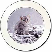 Silver Tabby Cat in Snow Car or Van Permit Holder/Tax Disc Holder