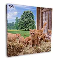 Ginger Cat and Kittens in Barn Square Canvas 12"x12" Wall Art Picture Print