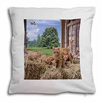 Ginger Cat and Kittens in Barn Soft White Velvet Feel Scatter Cushion