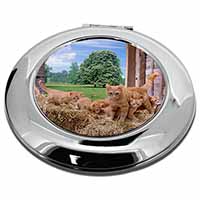 Ginger Cat and Kittens in Barn Make-Up Round Compact Mirror