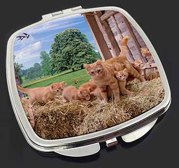 Ginger Cat and Kittens in Barn Make-Up Compact Mirror
