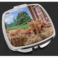 Ginger Cat and Kittens in Barn Make-Up Compact Mirror