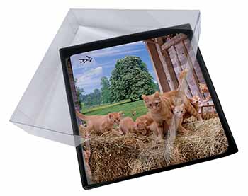 4x Ginger Cat and Kittens in Barn Picture Table Coasters Set in Gift Box