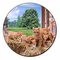 Ginger Cat and Kittens in Barn Fridge Magnet Printed Full Colour