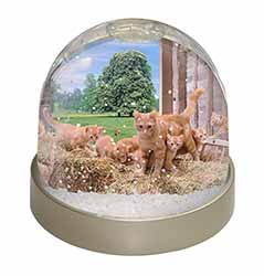 Ginger Cat and Kittens in Barn Snow Globe Photo Waterball