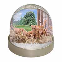 Ginger Cat and Kittens in Barn Snow Globe Photo Waterball