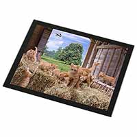 Ginger Cat and Kittens in Barn Black Rim High Quality Glass Placemat