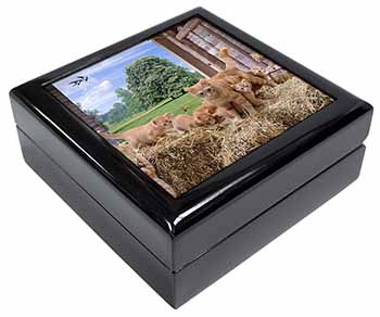 Ginger Cat and Kittens in Barn Keepsake/Jewellery Box