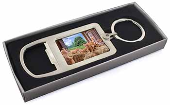 Ginger Cat and Kittens in Barn Chrome Metal Bottle Opener Keyring in Box