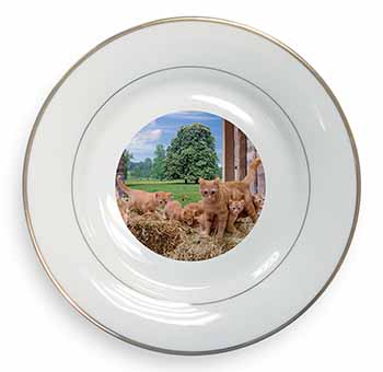 Ginger Cat and Kittens in Barn Gold Rim Plate Printed Full Colour in Gift Box