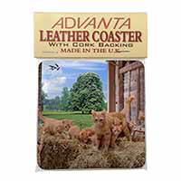 Ginger Cat and Kittens in Barn Single Leather Photo Coaster