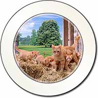 Ginger Cat and Kittens in Barn Car or Van Permit Holder/Tax Disc Holder