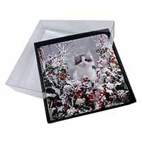 4x Winter Snow Kitten Picture Table Coasters Set in Gift Box