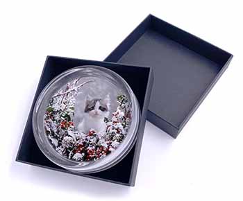 Winter Snow Kitten Glass Paperweight in Gift Box