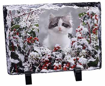 Winter Snow Kitten, Stunning Photo Slate