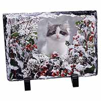 Winter Snow Kitten, Stunning Photo Slate