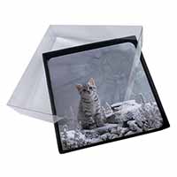 4x Animal Fantasy Cat+Snow Leopard Picture Table Coasters Set in Gift Box