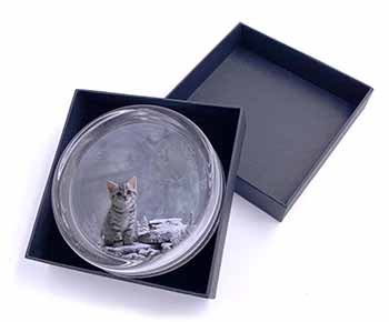 Animal Fantasy Cat+Snow Leopard Glass Paperweight in Gift Box