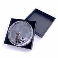Animal Fantasy Cat+Snow Leopard Glass Paperweight in Gift Box