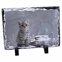 Animal Fantasy Cat+Snow Leopard, Stunning Photo Slate