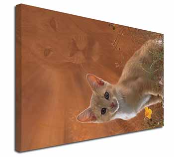 Lion Spirit on Kitten Watch Canvas X-Large 30"x20" Wall Art Print