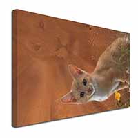 Lion Spirit on Kitten Watch Canvas X-Large 30"x20" Wall Art Print