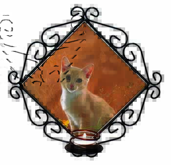 Lion Spirit on Kitten Watch Wrought Iron Wall Art Candle Holder