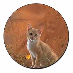 Lion Spirit on Kitten Watch Fridge Magnet Printed Full Colour