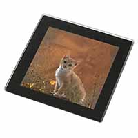 Lion Spirit on Kitten Watch Black Rim High Quality Glass Coaster