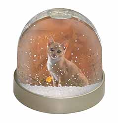 Lion Spirit on Kitten Watch Snow Globe Photo Waterball