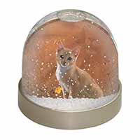 Lion Spirit on Kitten Watch Snow Globe Photo Waterball