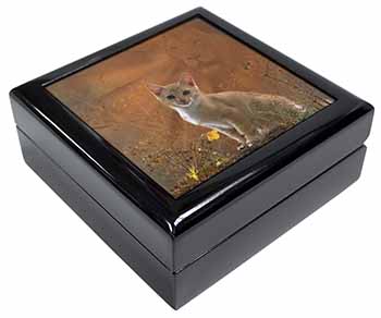 Lion Spirit on Kitten Watch Keepsake/Jewellery Box
