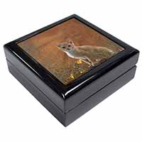 Lion Spirit on Kitten Watch Keepsake/Jewellery Box