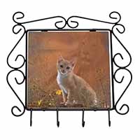 Lion Spirit on Kitten Watch Wrought Iron Key Holder Hooks