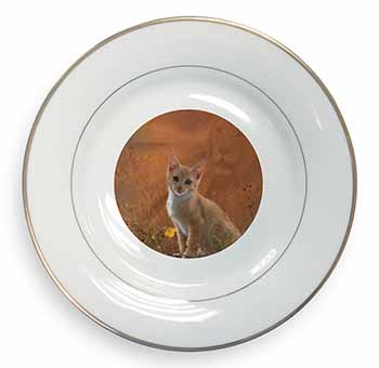 Lion Spirit on Kitten Watch Gold Rim Plate Printed Full Colour in Gift Box