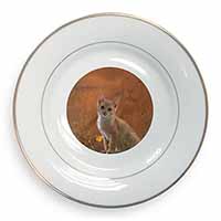 Lion Spirit on Kitten Watch Gold Rim Plate Printed Full Colour in Gift Box