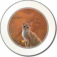 Lion Spirit on Kitten Watch Car or Van Permit Holder/Tax Disc Holder